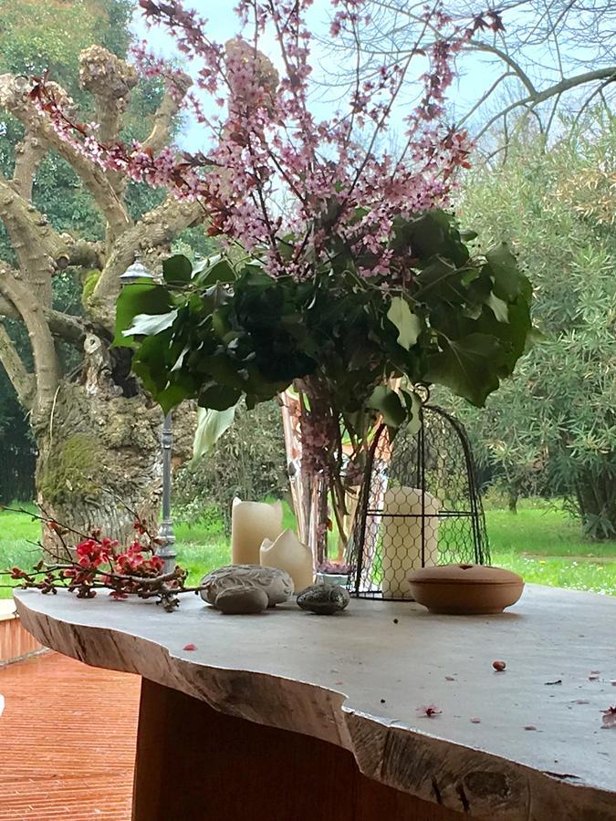 Relax&Venice Quarto dʼAltino Εξωτερικό φωτογραφία